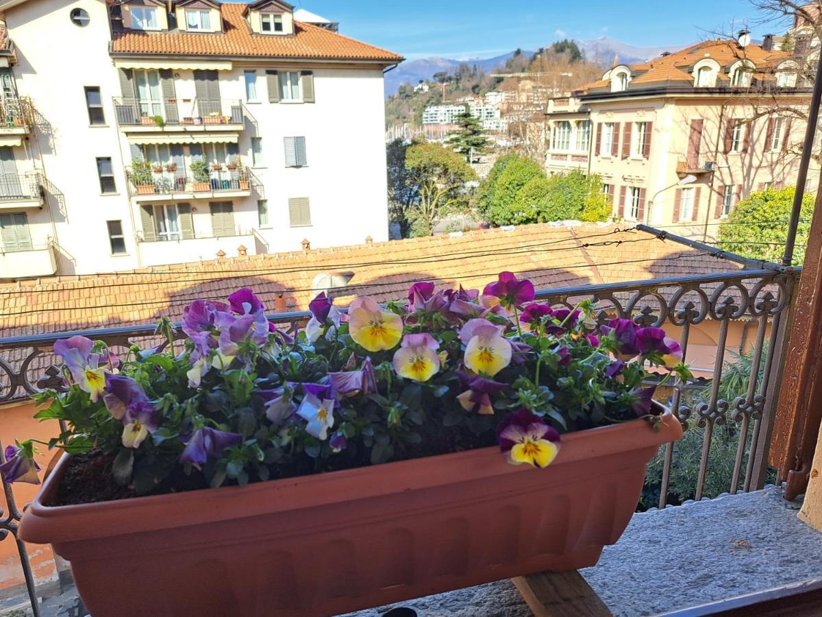 La Casa Sul Porto Apartment *